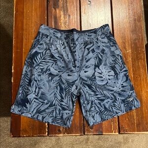 Speedo Men's Blue Swim Shorts